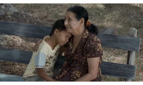 TOPRAĞIN GÖLGESİNDE